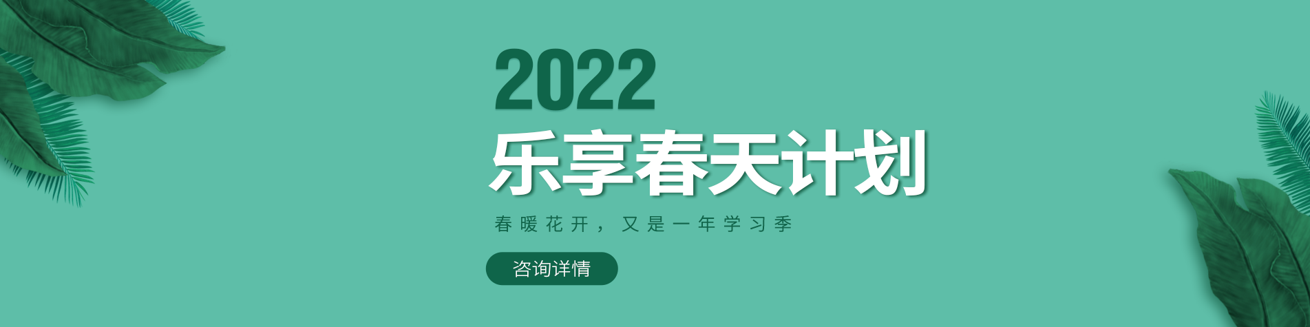 大粗鸡巴操大胖逼视频